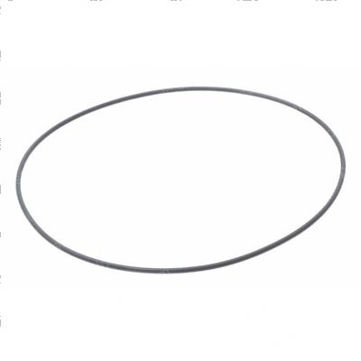 Picture of O-Ring R909154589 Rexroth