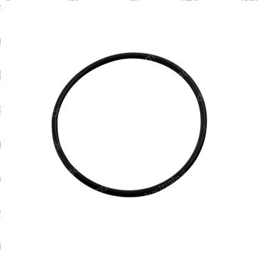 Picture of O-Ring