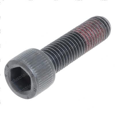Picture of Bolt