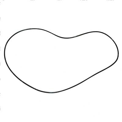 Picture of O-Ring