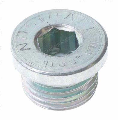 Picture of Plug-Magnetic-1/2