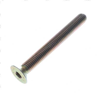 Picture of Screw
