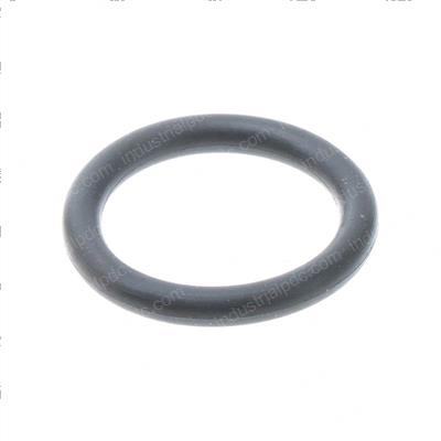 Picture of O-Ring