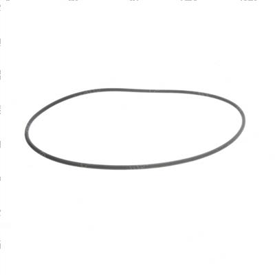 Picture of O Ring