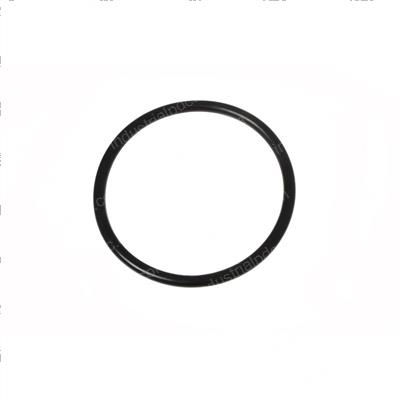 Picture of O-Ring
