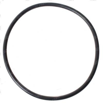 Picture of O-Ring