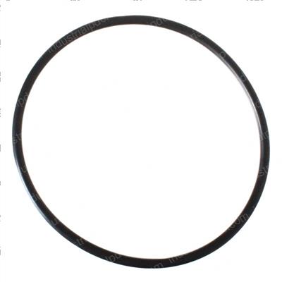 Picture of O-Ring