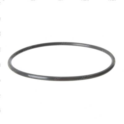 Picture of O-Ring