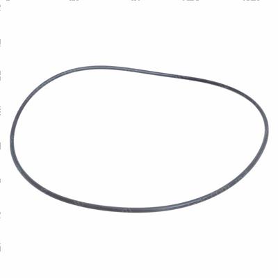 Picture of O-Ring