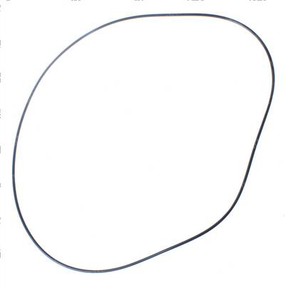 Picture of O-Ring