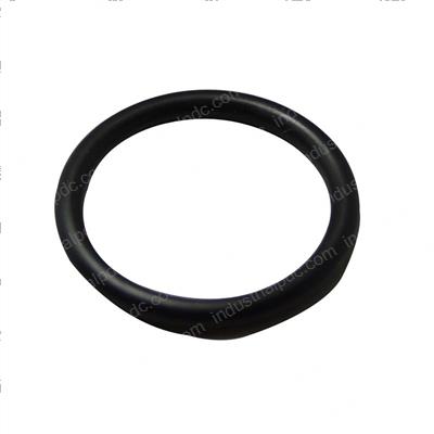 Picture of O-Ring