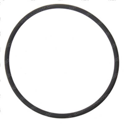 Picture of O-Ring
