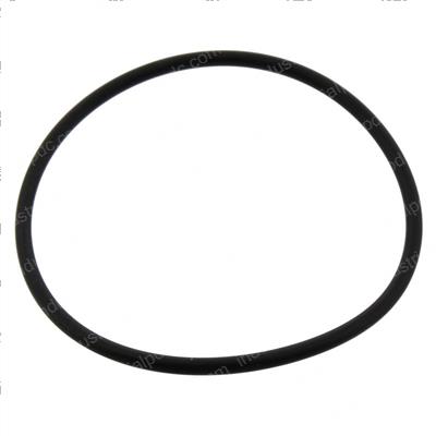 Picture of O-Ring