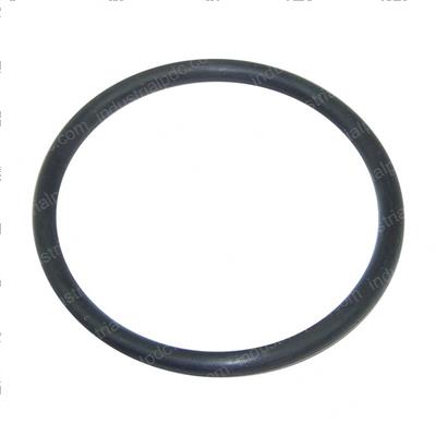 Picture of O-Ring