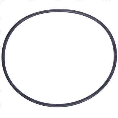 Picture of O-Ring