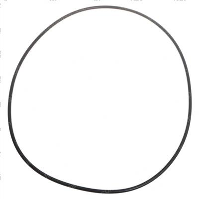 Picture of O-Ring