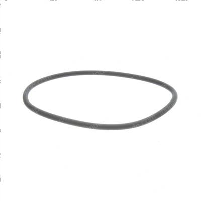 Picture of O-Ring