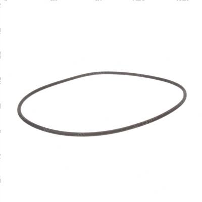 Picture of O-Ring