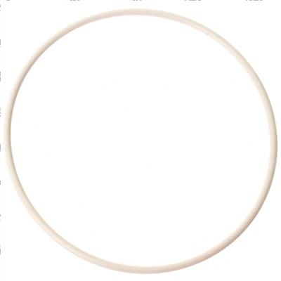 Picture of O-Ring