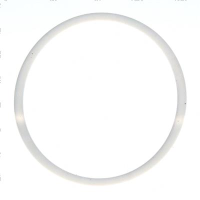 Picture of Ring - Back Up