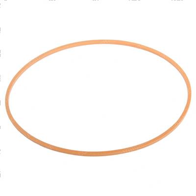Picture of O-Ring