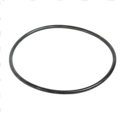 Picture of O-Ring