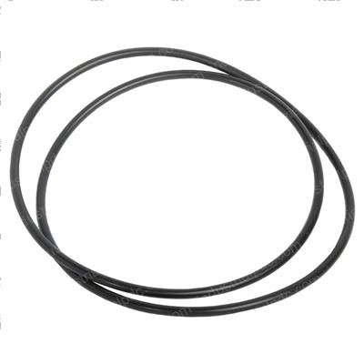 Picture of O-Ring