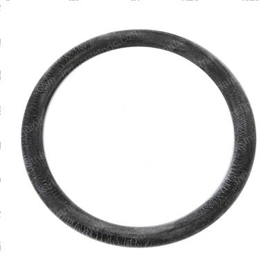 Picture of O-Ring
