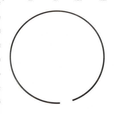 Picture of Retaining Ring