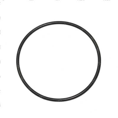Picture of Seal