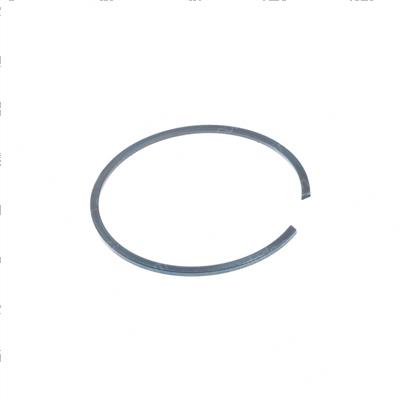 Picture of Snap Ring