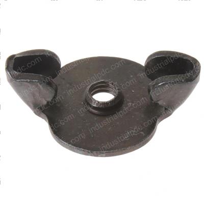 Picture of Nut  Wing  .25-20
