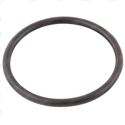 Picture of O-Ring