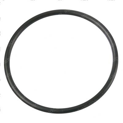 Picture of O-Ring
