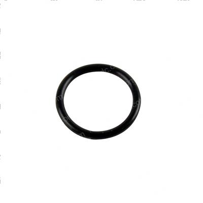 Picture of O-Ring