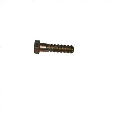 Picture of Bolt