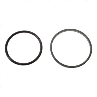 Picture of Seal