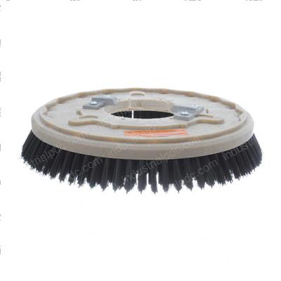 Picture of Brush 14 Inch