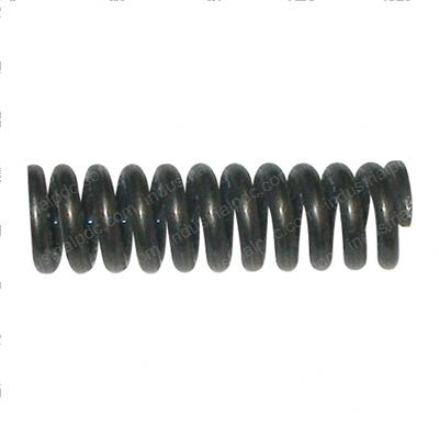 Picture of Spring - Hydraulic Unit