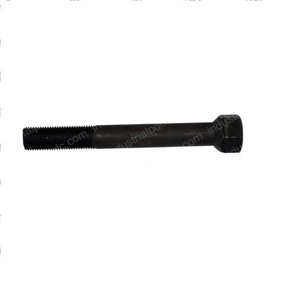 Picture of Bolt
