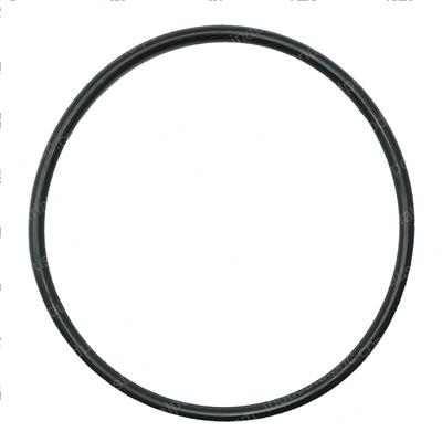 Picture of O-Ring