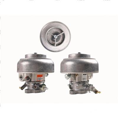Picture of Carburetor