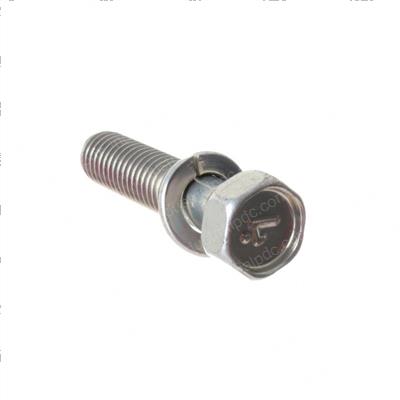 Picture of Bolt-Hex W/W