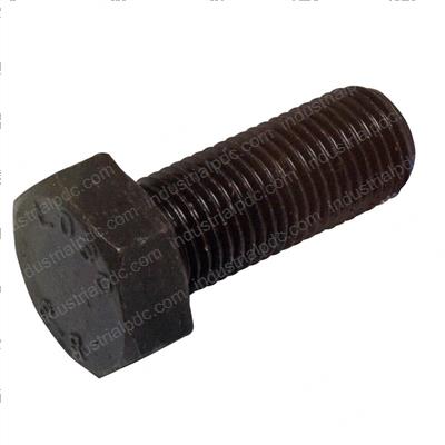 Picture of Bolt
