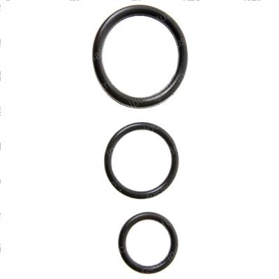 Picture of O-Ring Kit