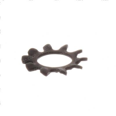 Picture of Lockwasher - 1/4 in