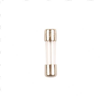 Picture of Fuse 0,25a