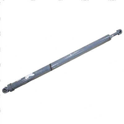 Picture of Lift Cylinder 10  M50/M8