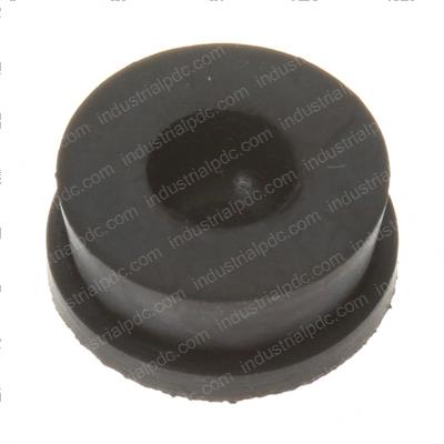 Picture of Plug - Inspection