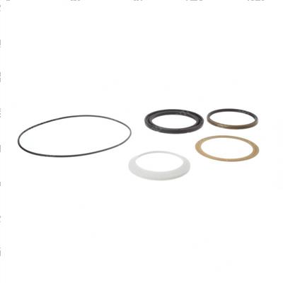 Picture of Seal Kit - Charlynn Shaft